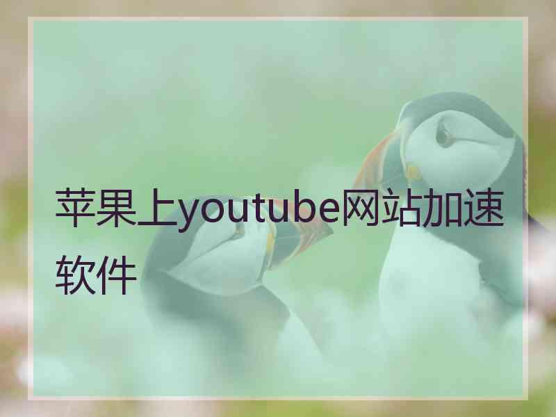 苹果上youtube网站加速软件
